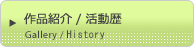 作品紹介 / 活動歴